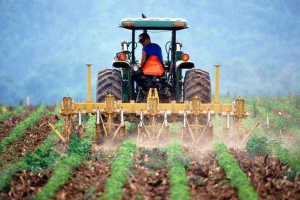 A mezőgazdaság környezetre gyakorolt ​​hatásának problémája